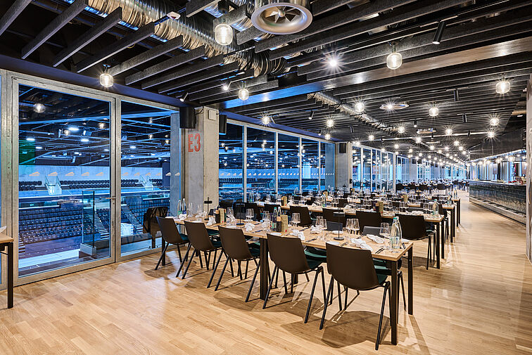 Referenz: Pilatus Arena Kriens